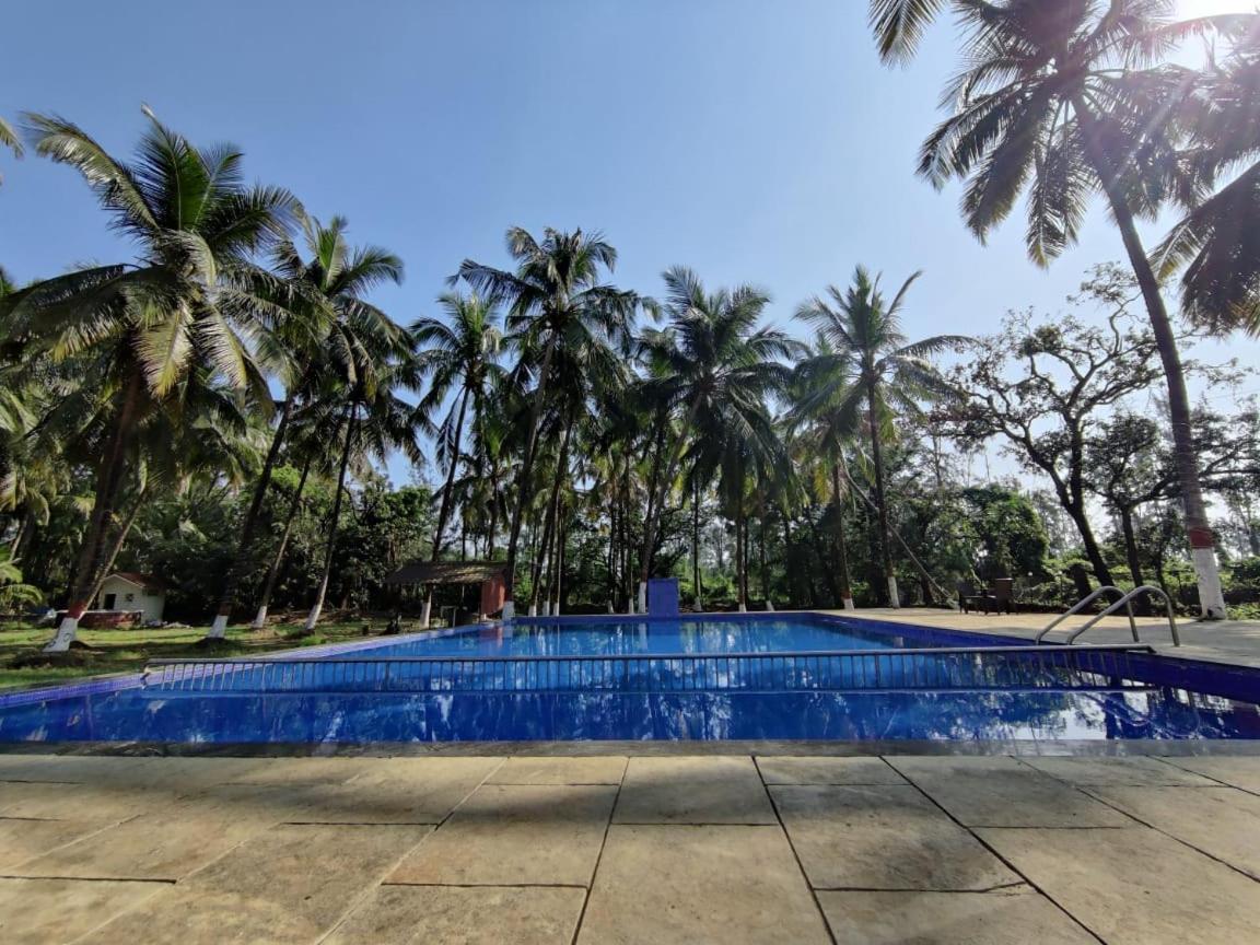 White House Beach Resort, Nagaon 외부 사진